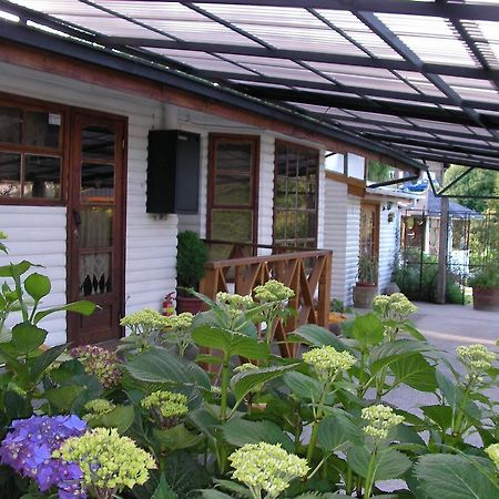 Complejo Cabanas Petalos Villarrica Ngoại thất bức ảnh