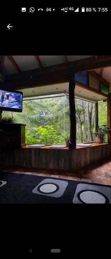 Complejo Cabanas Petalos Villarrica Ngoại thất bức ảnh