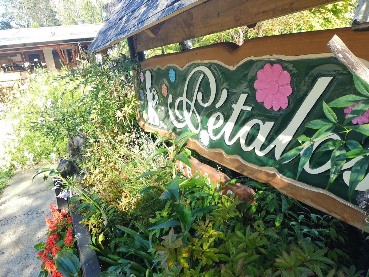 Complejo Cabanas Petalos Villarrica Ngoại thất bức ảnh