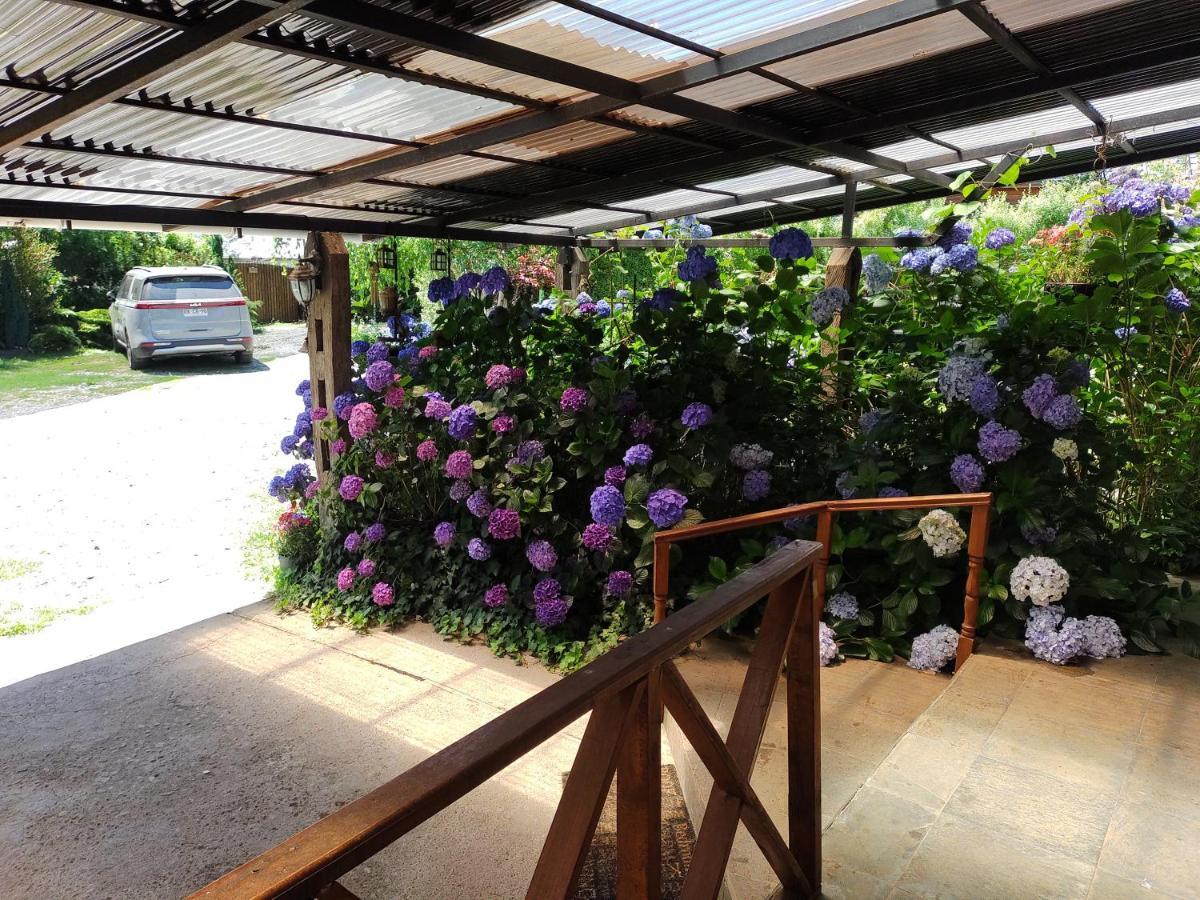 Complejo Cabanas Petalos Villarrica Ngoại thất bức ảnh