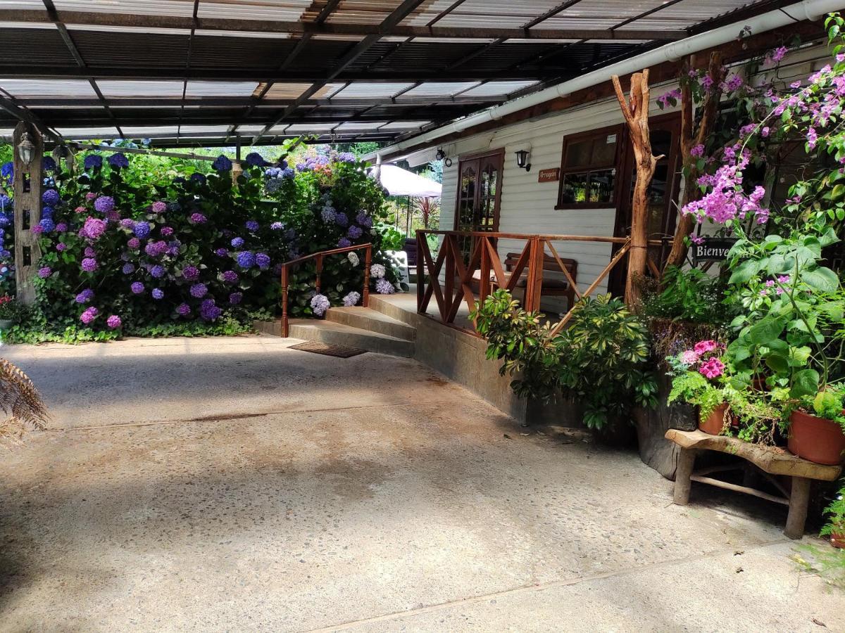 Complejo Cabanas Petalos Villarrica Ngoại thất bức ảnh