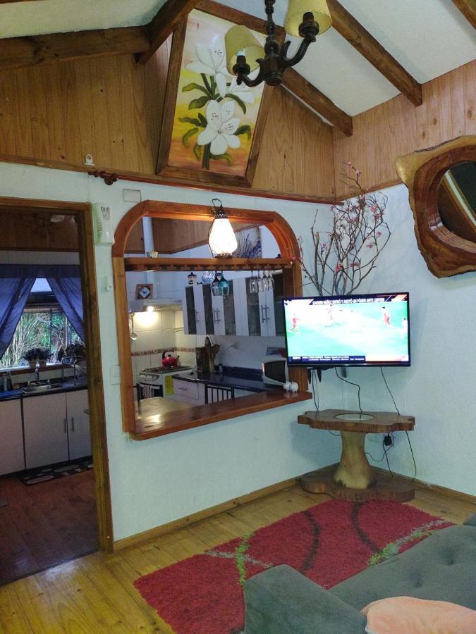 Complejo Cabanas Petalos Villarrica Ngoại thất bức ảnh