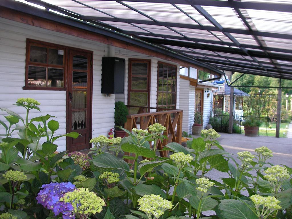 Complejo Cabanas Petalos Villarrica Ngoại thất bức ảnh