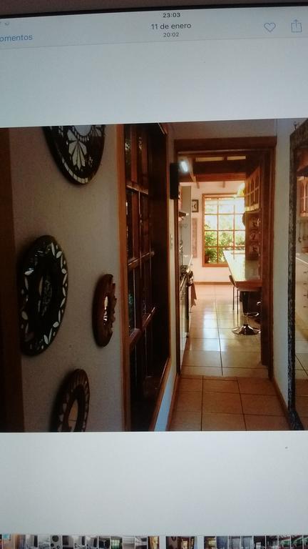 Complejo Cabanas Petalos Villarrica Ngoại thất bức ảnh