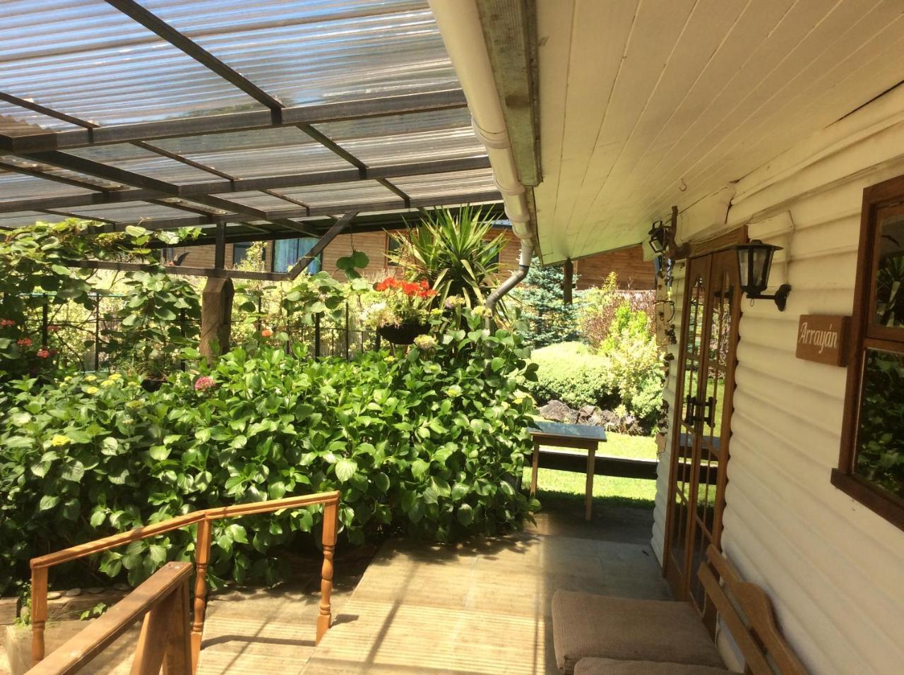 Complejo Cabanas Petalos Villarrica Ngoại thất bức ảnh