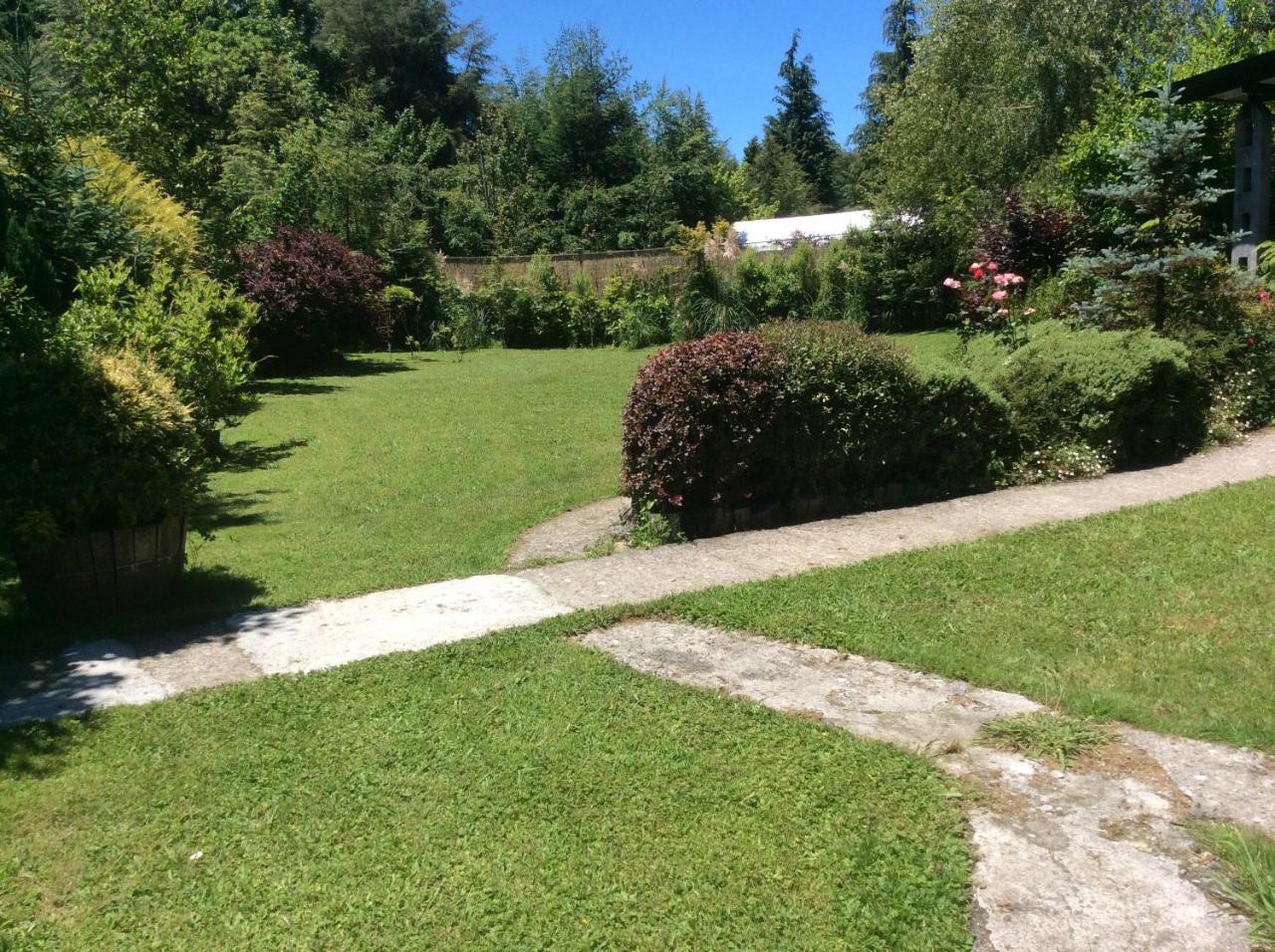 Complejo Cabanas Petalos Villarrica Ngoại thất bức ảnh